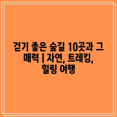 걷기 좋은 숲길 10곳과 그 매력 | 자연, 트레킹, 힐링 여행