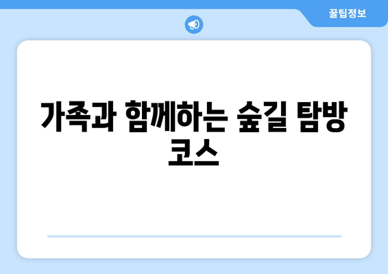 걷기 좋은 숲길 10곳과 그 매력 | 자연, 트레킹, 힐링 여행